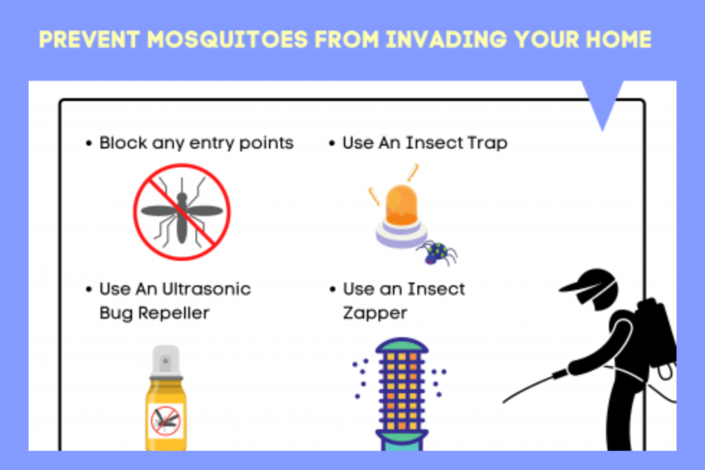Prevent Mosquitoes From Invading Home - Infographics