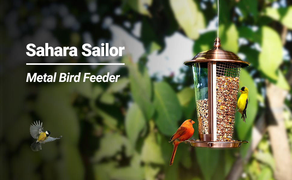 bird feeder_ebc2_1